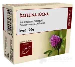 HANUS DIATELINA WIESENBLUME