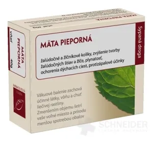 HANUS PEPPER MINT SCHWAUER
