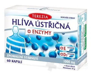 TERESA AUSTERNPILZ + ENZYME