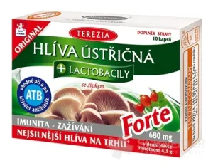 TERESA AUSTERNPILZ + LAKTOBAZILLEN