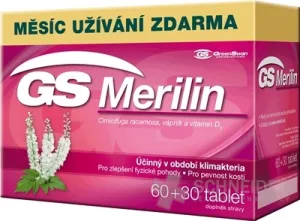 GS Merlin